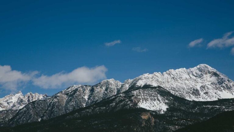 What Is Cricbet99 Reddy Anna Mumbai Contact Number?