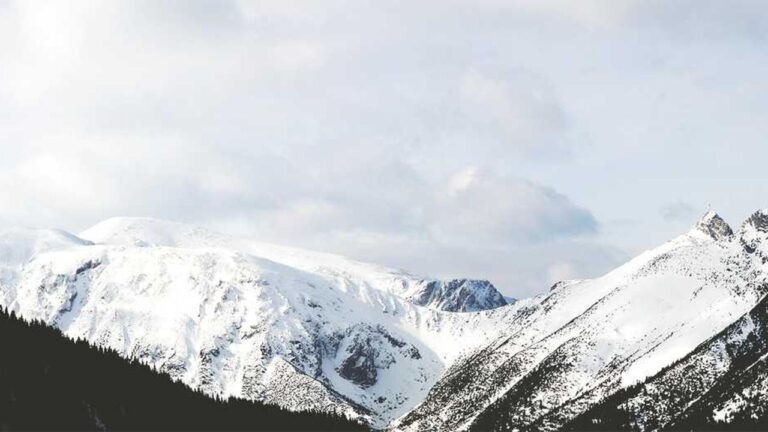 How To Get 11Xplay Sign-Up Login Id And Password Instantly?